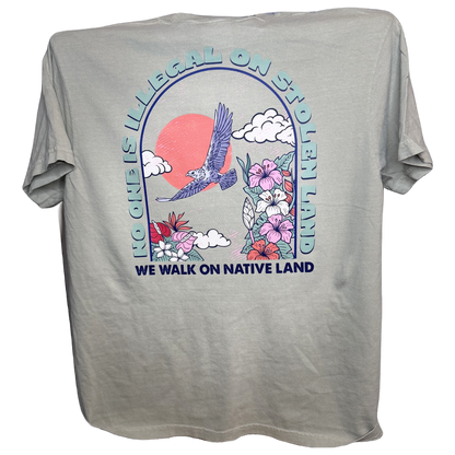 We Walk on Native Land